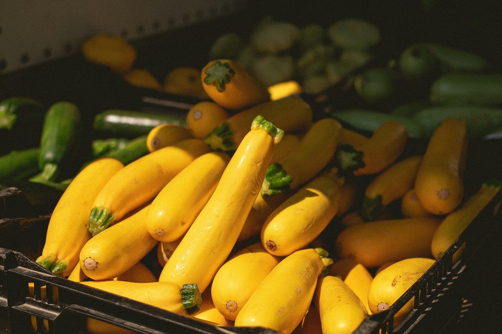 What to Do with Too Much Zucchini