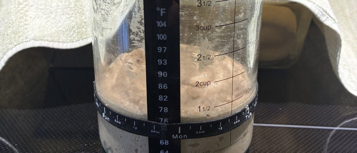 Close-up of a tall glass measuring jar of sourdough starter on a black cooktop, with a stick-on thermometer strip and a black elastic band marking where the starter began; the bubbly starter has risen to about the 2 cup line, well above the band