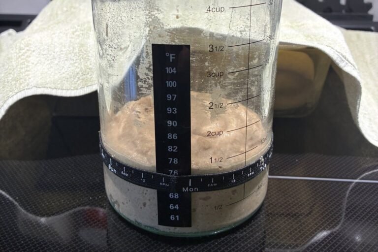 Close-up of a tall glass measuring jar of sourdough starter on a black cooktop, with a stick-on thermometer strip and a black elastic band marking where the starter began; the bubbly starter has risen to about the 2 cup line, well above the band