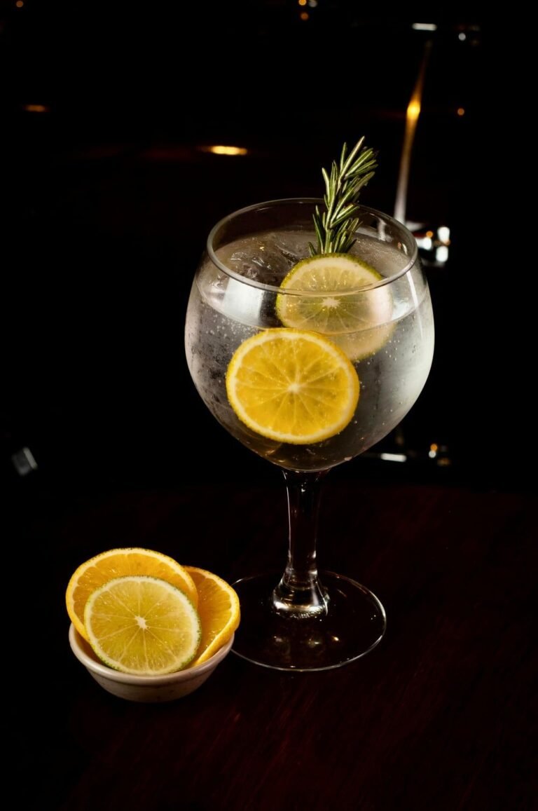 A Spanish gin and tonic in a large balloon glass filled with ice, garnished with two lemon wheels and a sprig of rosemary, with a small dish of lemon slices beside it on a dark bar